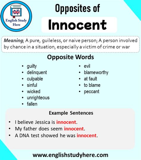 antonyms for innocent|another word for innocent person.